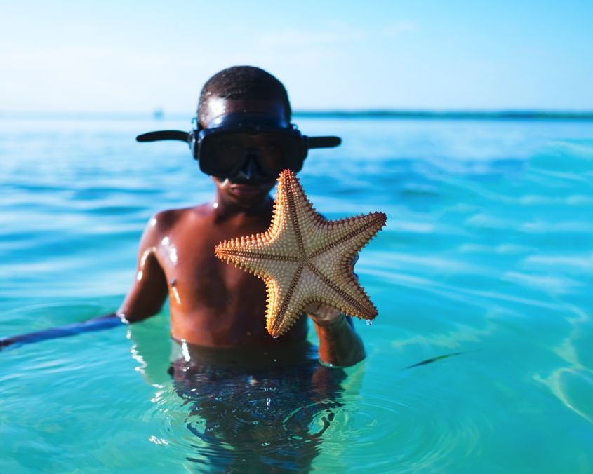 Bambino con stella marina in acqua Bambino con stella marina in acqua