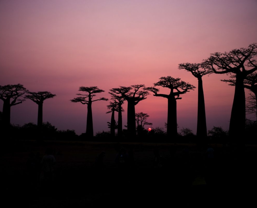 Baobab foto viaggi in Africa Baobab foto viaggi in Africa